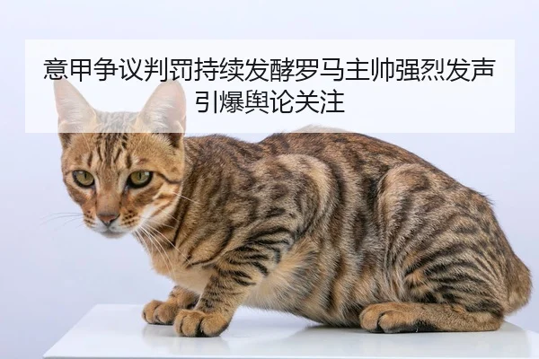 意甲争议判罚持续发酵罗马主帅强烈发声引爆舆论关注